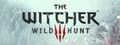 The Witcher 3 FPS
